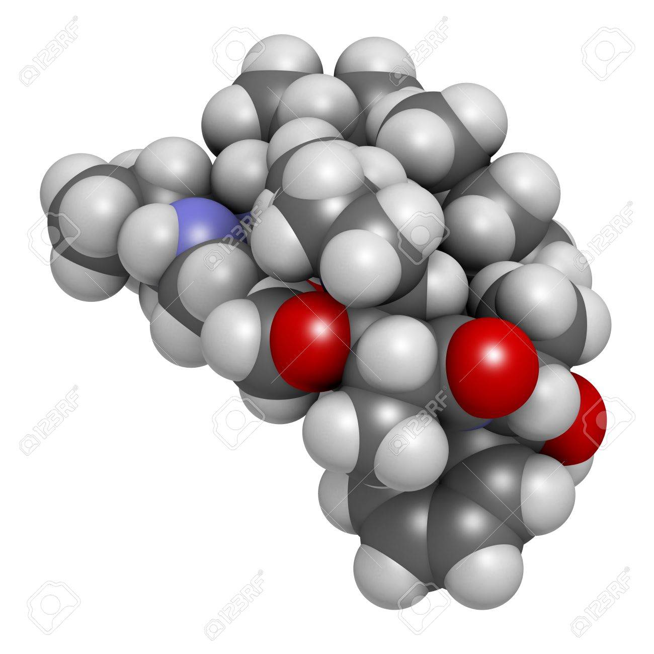 Monomethyl Auristatin E Mmae Vedotin The Cytotoxic Payload