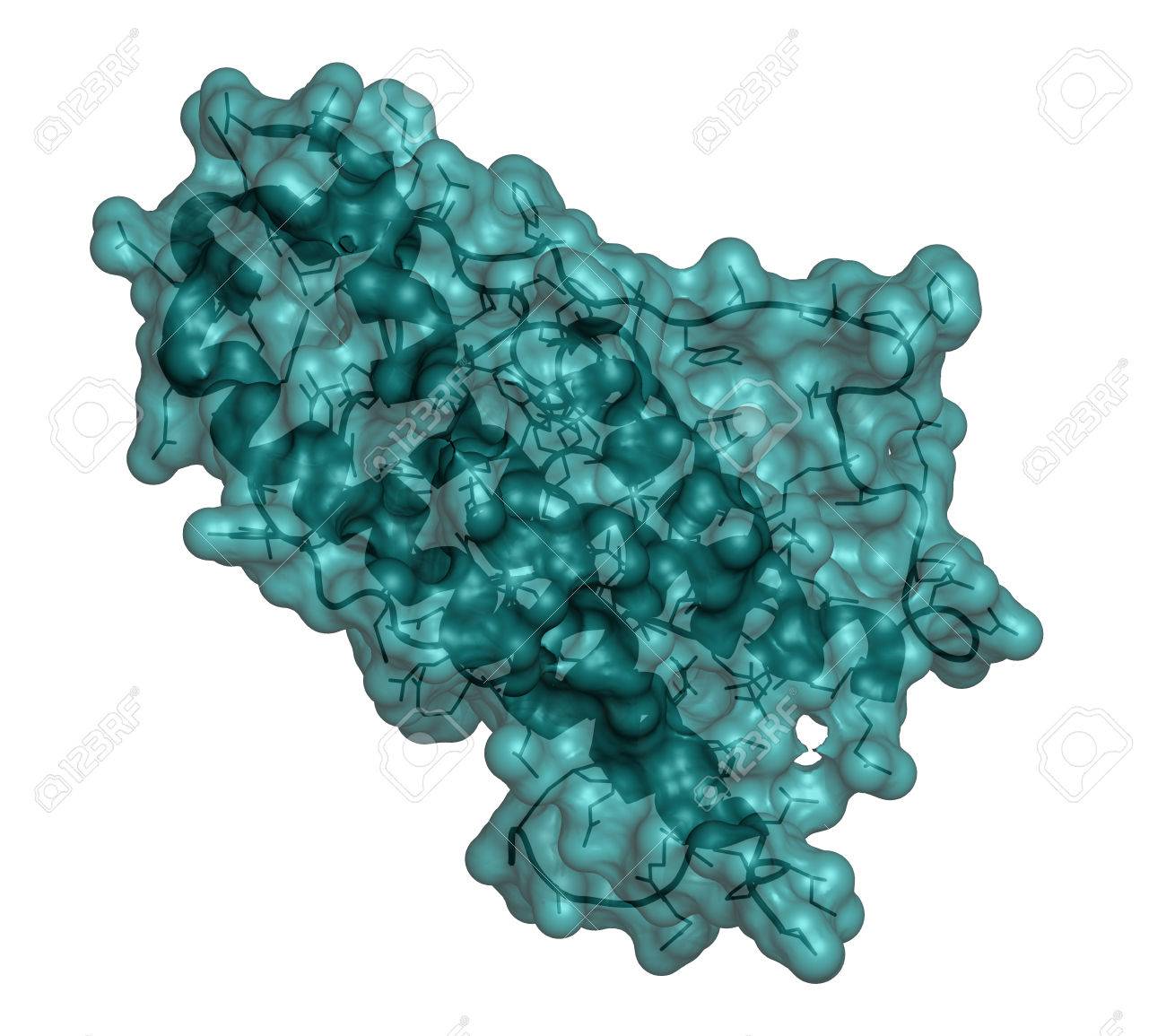 Cómo hacer más comenzando en el gimnasio haciendo menos Cómo ganar clientes e influir en los mercados con comenzando en el gimnasio