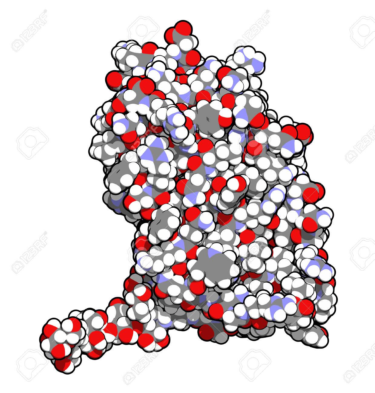 Interferon beta molecule, chemical structure. Cytokine used to treat multiple sclerosis (MS). All atoms shown as conventionally colored spheres. - 22802680 Interferon beta molecule, chemical structure. Cytokine used to treat multiple sclerosis (MS). All atoms shown as conventionally colored spheres. - 22802680