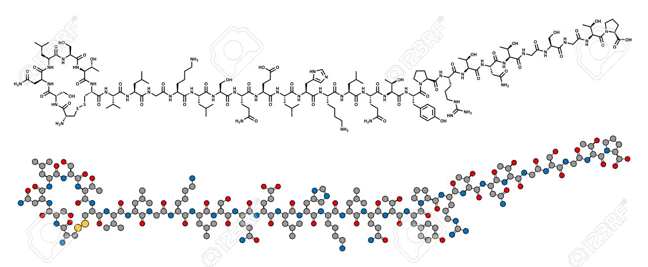 サケ カルシトニン ペプチッド ホルモン薬物 化学構造 閉経後骨粗鬆症や他の病気の治療で使われます 従来の骨格式と様式化された表現円コーディング色として 水素 を除く原子を示します のイラスト素材 ベクタ Image