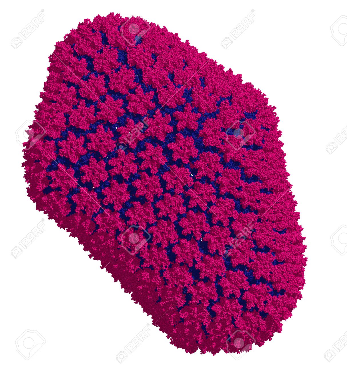 hiv retrovirus