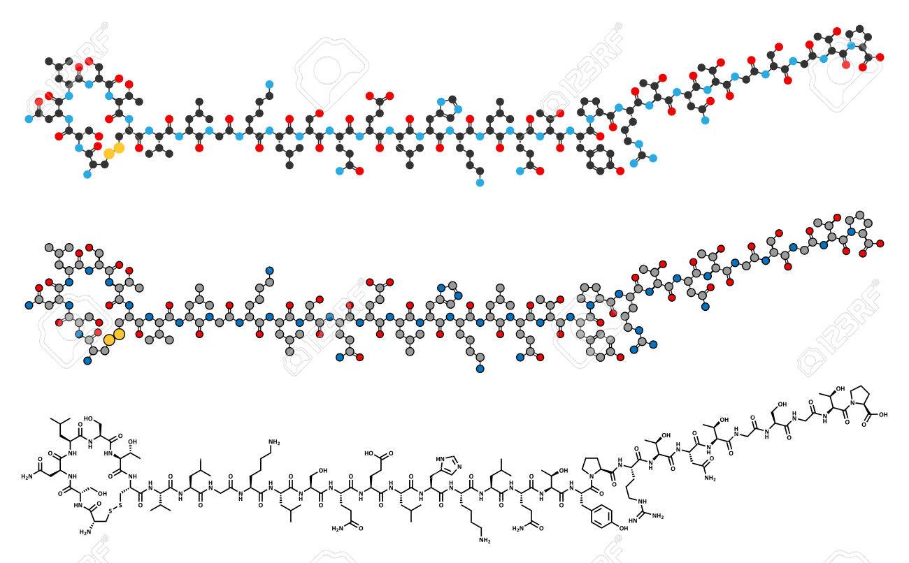 サケ カルシトニン ペプチッド ホルモン薬物分子 閉経後骨粗鬆症や他の病気の治療で使われます 従来の骨格式と様式化された表現 のイラスト素材 ベクタ Image
