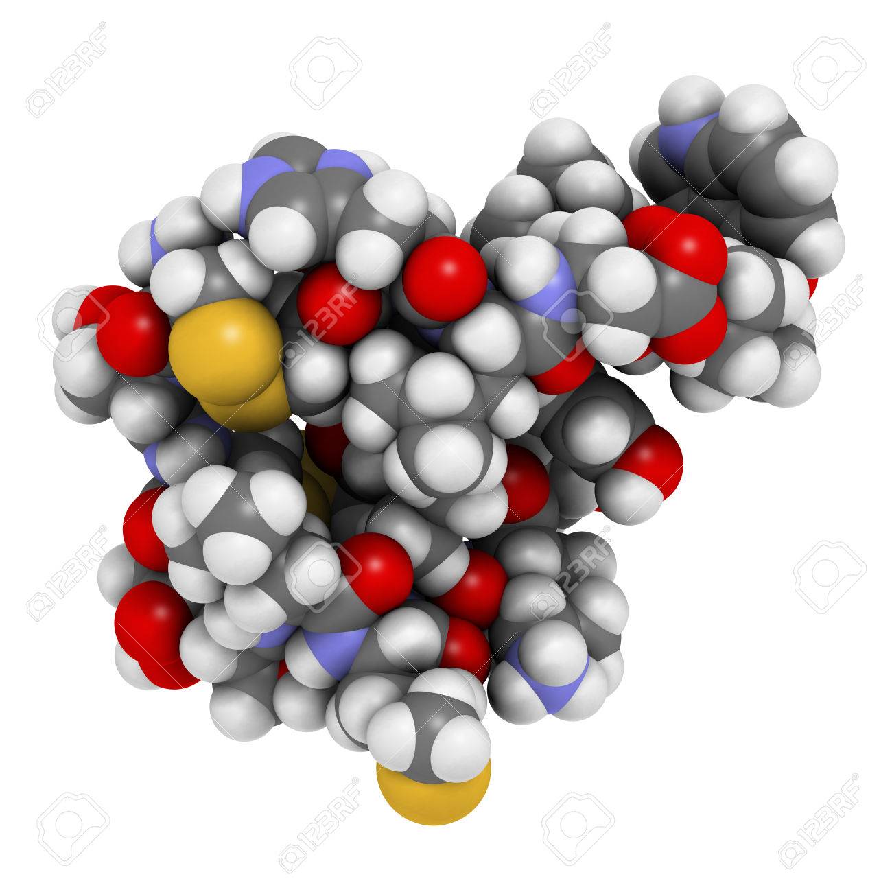 Hipertensión endotelina 1