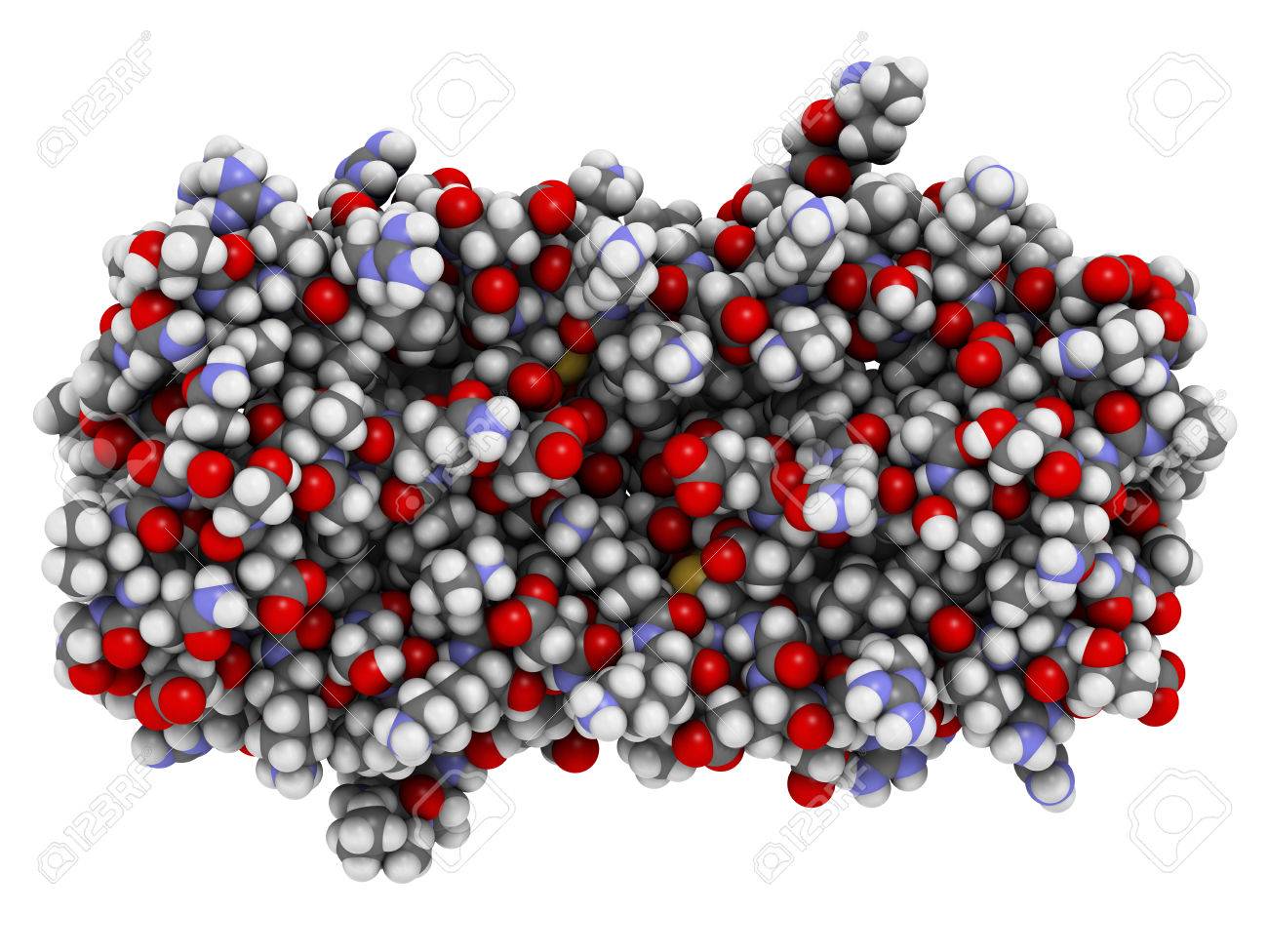 インターロイキン 5 Il 5 サイトカイン タンパク質 メポリズマブ Il 5 に対するモノクローナル抗体は 喘息の治療に使用されます 3 D イラスト 原子は 従来色の球体として示されています の写真素材 画像素材 Image