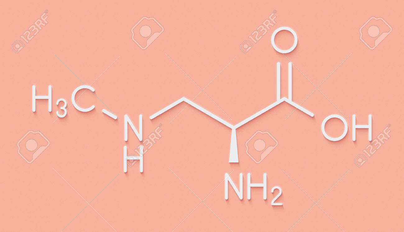 Beta Methylamino L Alanin Bmaa Toxisches Aminosauremolekul Produziert Von Cyanobakterien Skelettformel Lizenzfreie Fotos Bilder Und Stock Fotografie Image 84706016