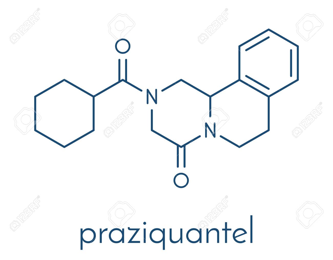 Praziquantel picture pics Praziquantel