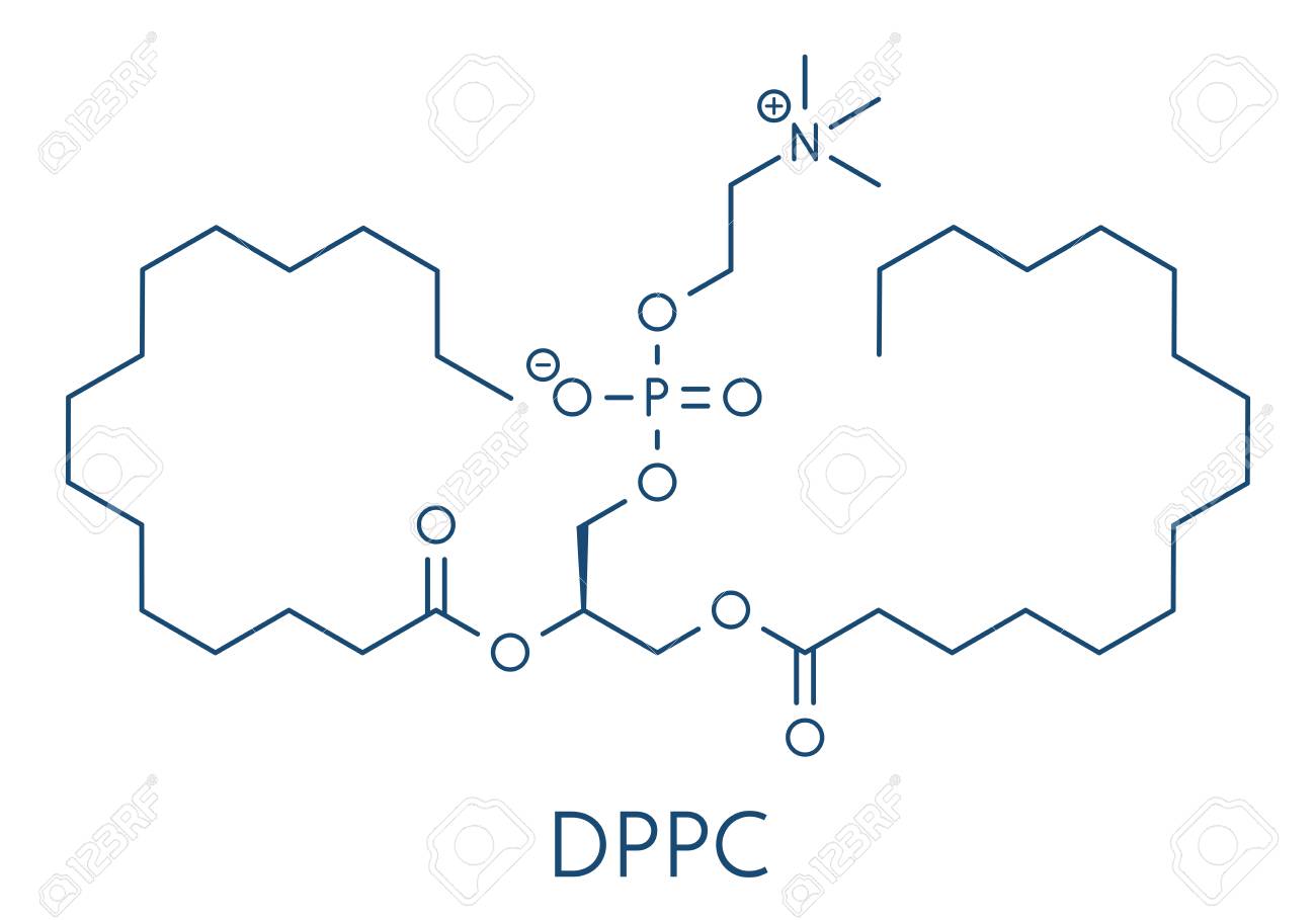 肺界面活性剤の分子 のイラスト素材 ベクタ Image