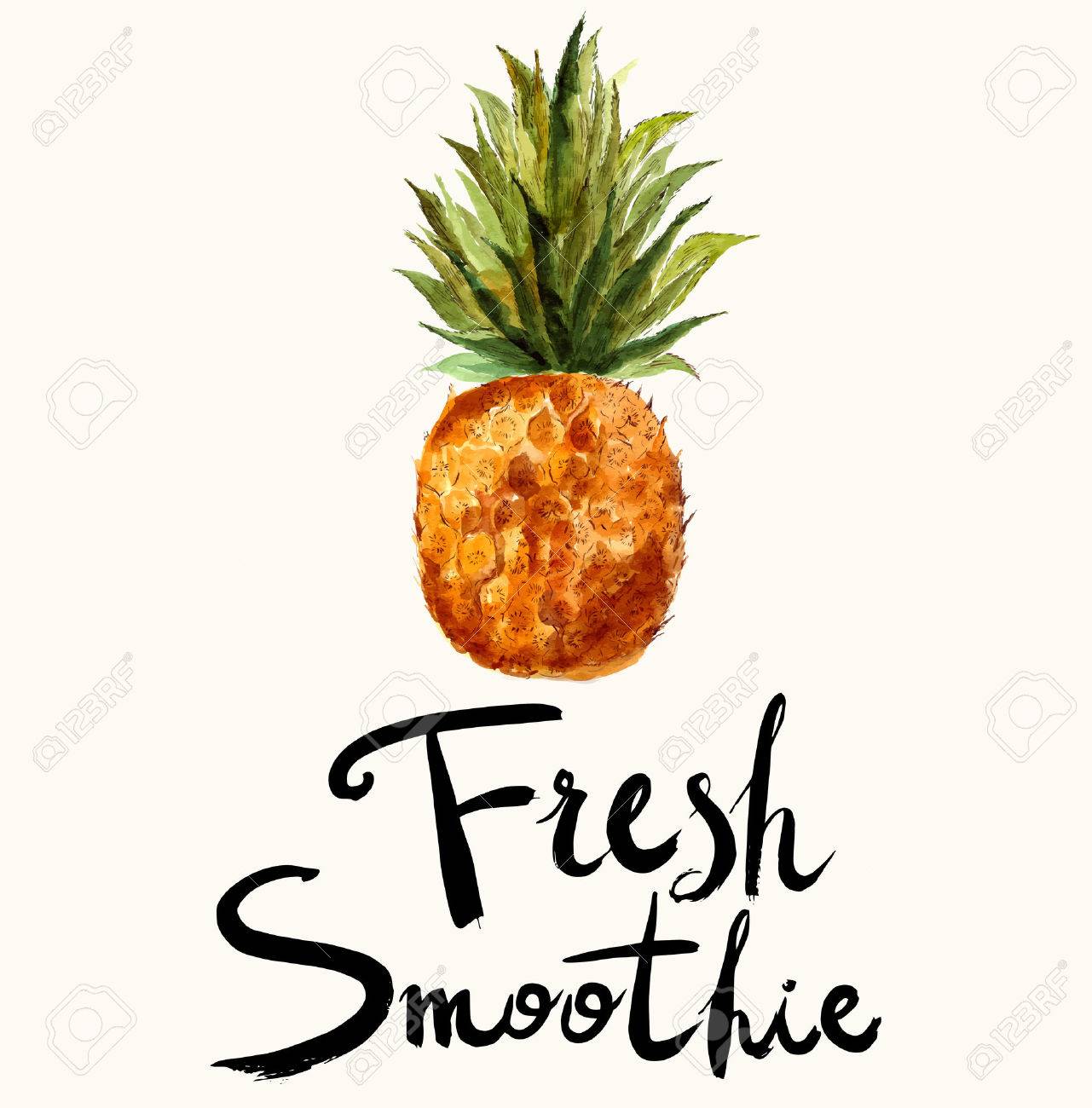 Hand Drawn Vector Bright Pineapple In Watercolor Technique Royalty Free Cliparts Vectors And Stock Illustration Image