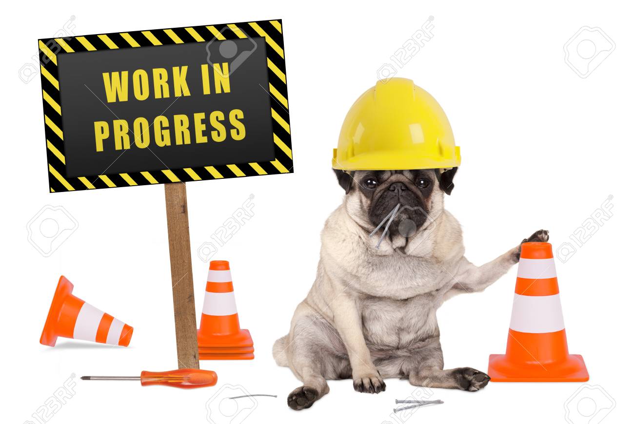 dog with construction hat