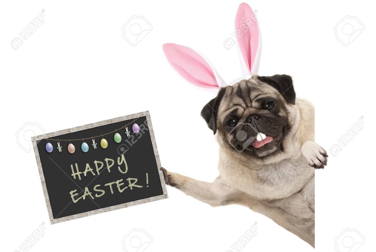 happy easter puppy