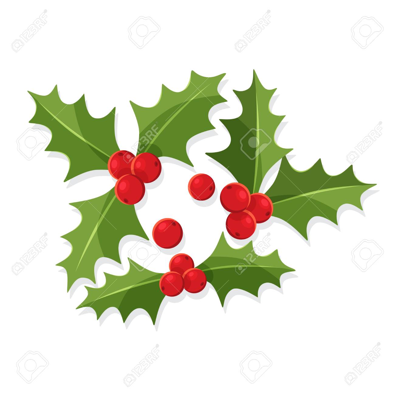Christmas Holly Berry Leaves Symbol Of Merry Christmas And Happy