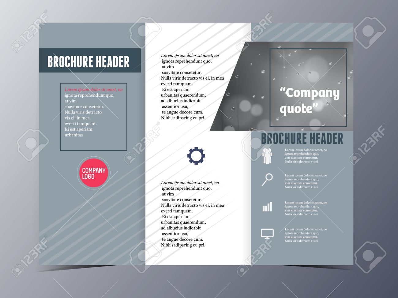 product pamphlet template