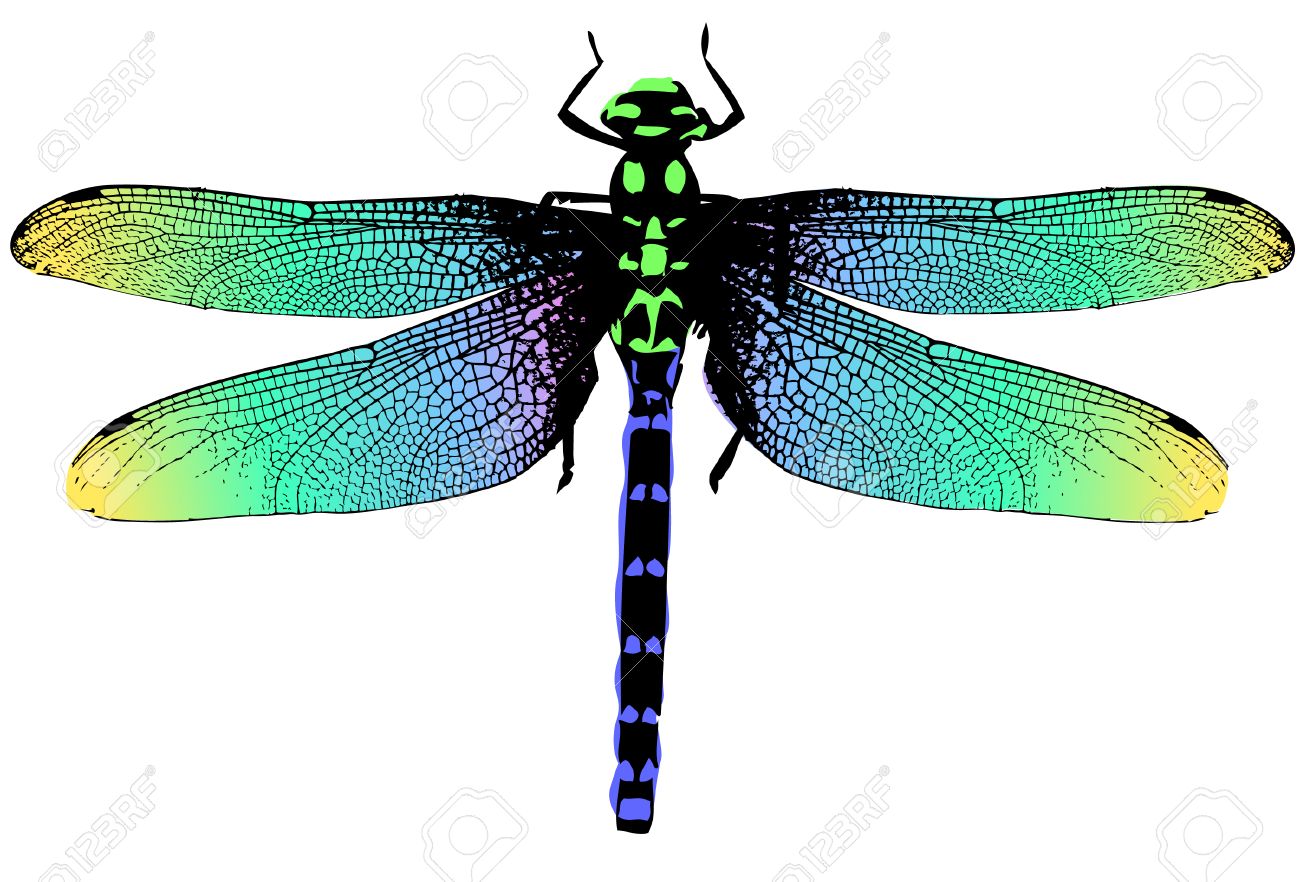 カラフルなトンボの図 のイラスト素材 ベクタ Image