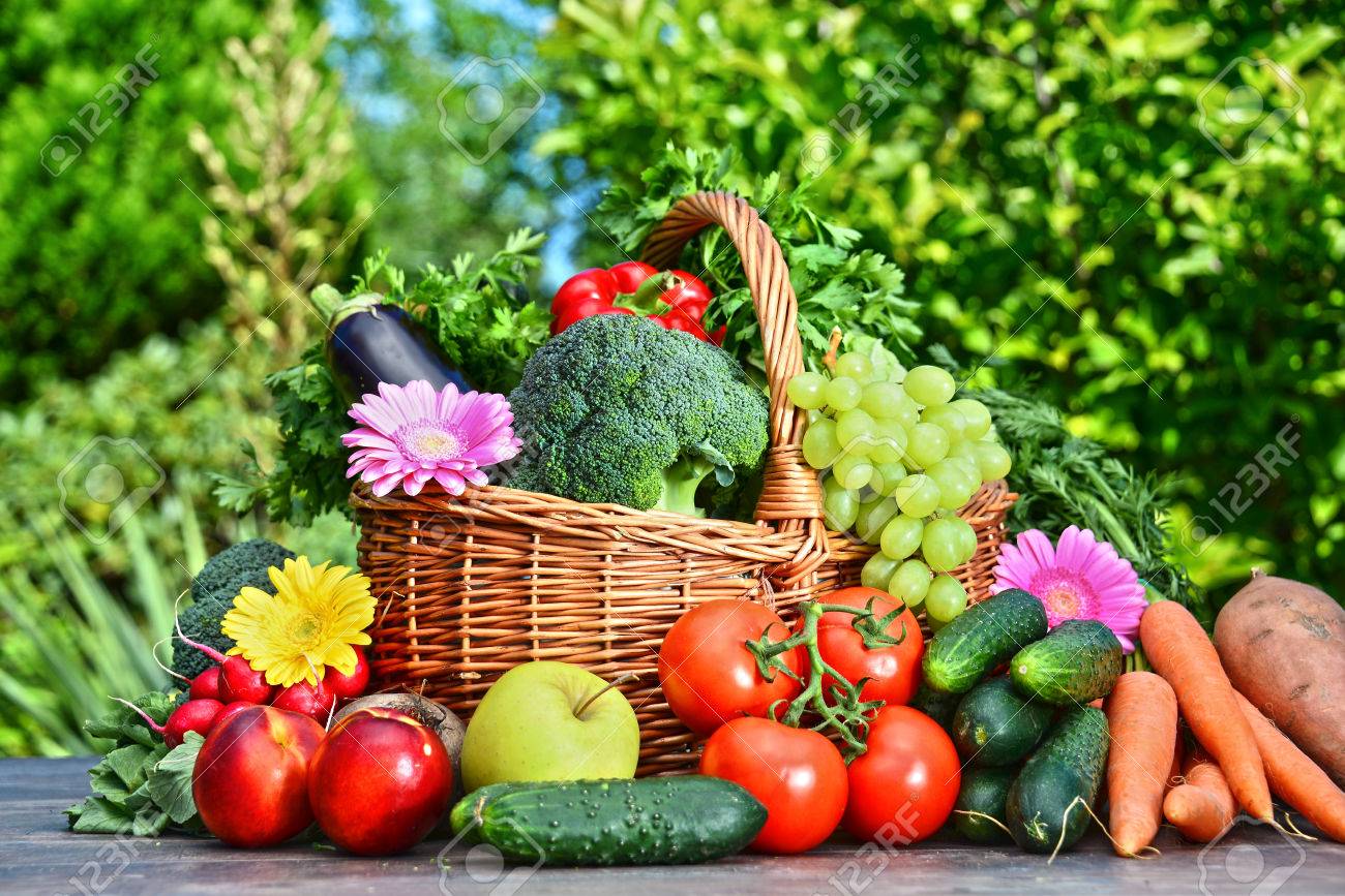 Variety of fresh organic vegetables and fruits in the garden. Balanced diet - 42730118 Variety of fresh organic vegetables and fruits in the garden. Balanced diet - 42730118
