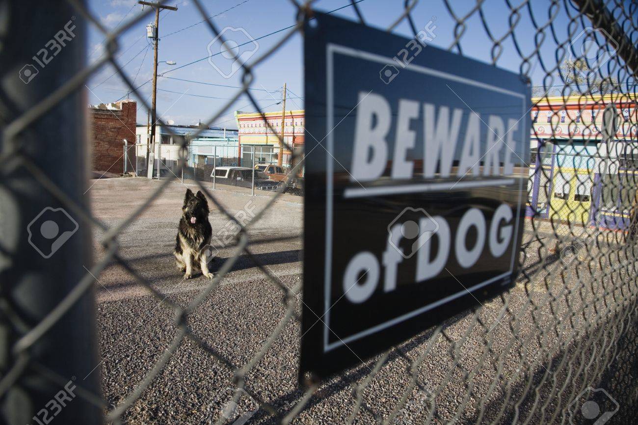 smokehouse dog bones