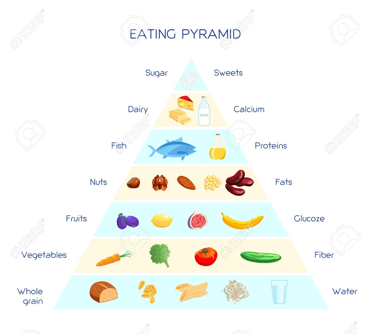 Dieta a base de grasas y proteinas
