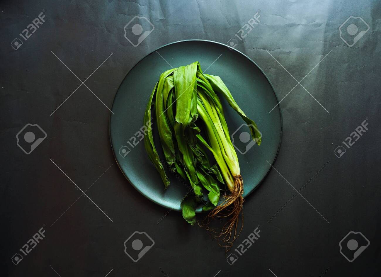 etiam-dictum-ipsum-a-felis