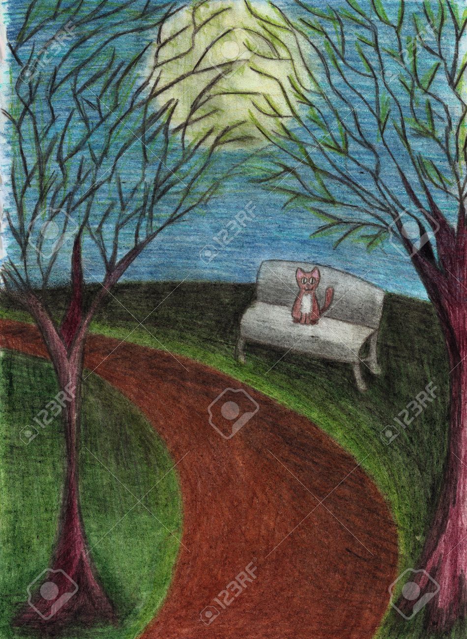 Cat in night park, landscape with trees, bench, path, full moon, drawn with colored pencils on paper - 30679588 Cat in night park, landscape with trees, bench, path, full moon, drawn with colored pencils on paper - 30679588