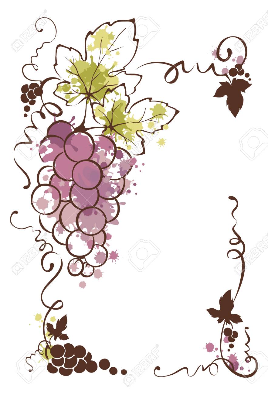 ブドウ スプラッシュ水彩からフレーム ベクトル イラスト 花のデザイン要素 のイラスト素材 ベクタ Image