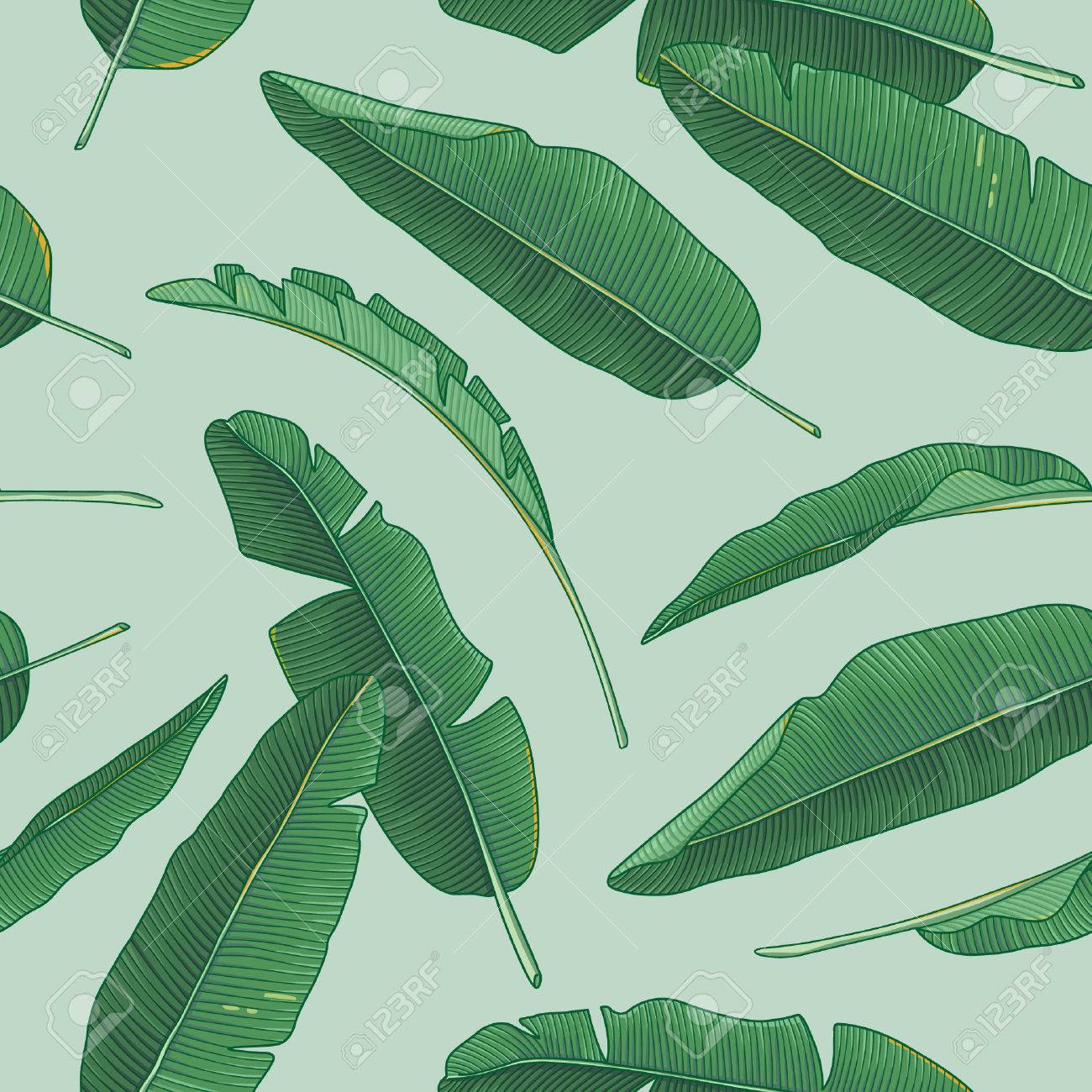 Banana Leaves Pattern Royalty Free Cliparts Vectors And Stock Illustration Image