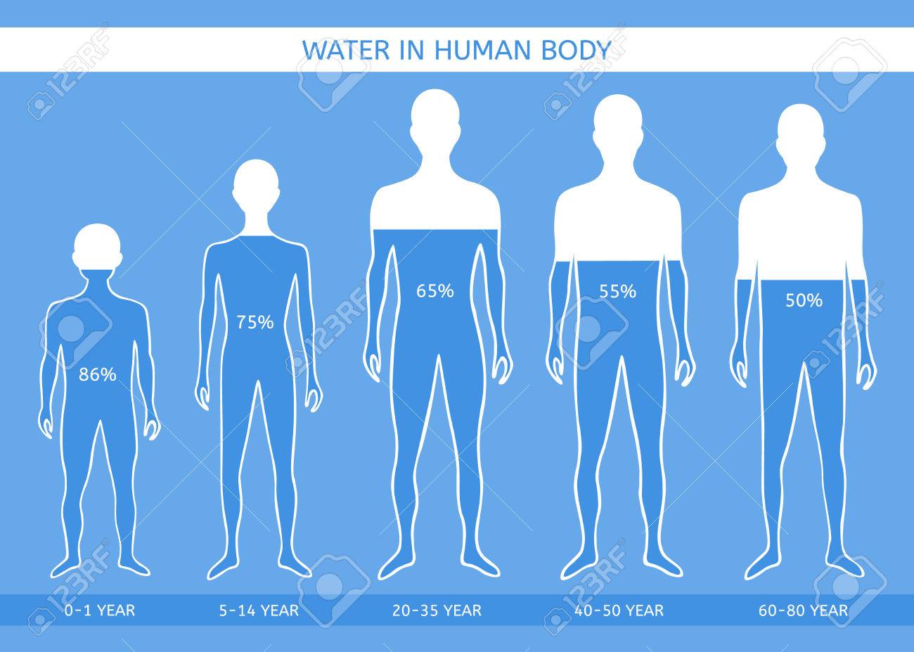 eau dans le corps eau dans le corps
