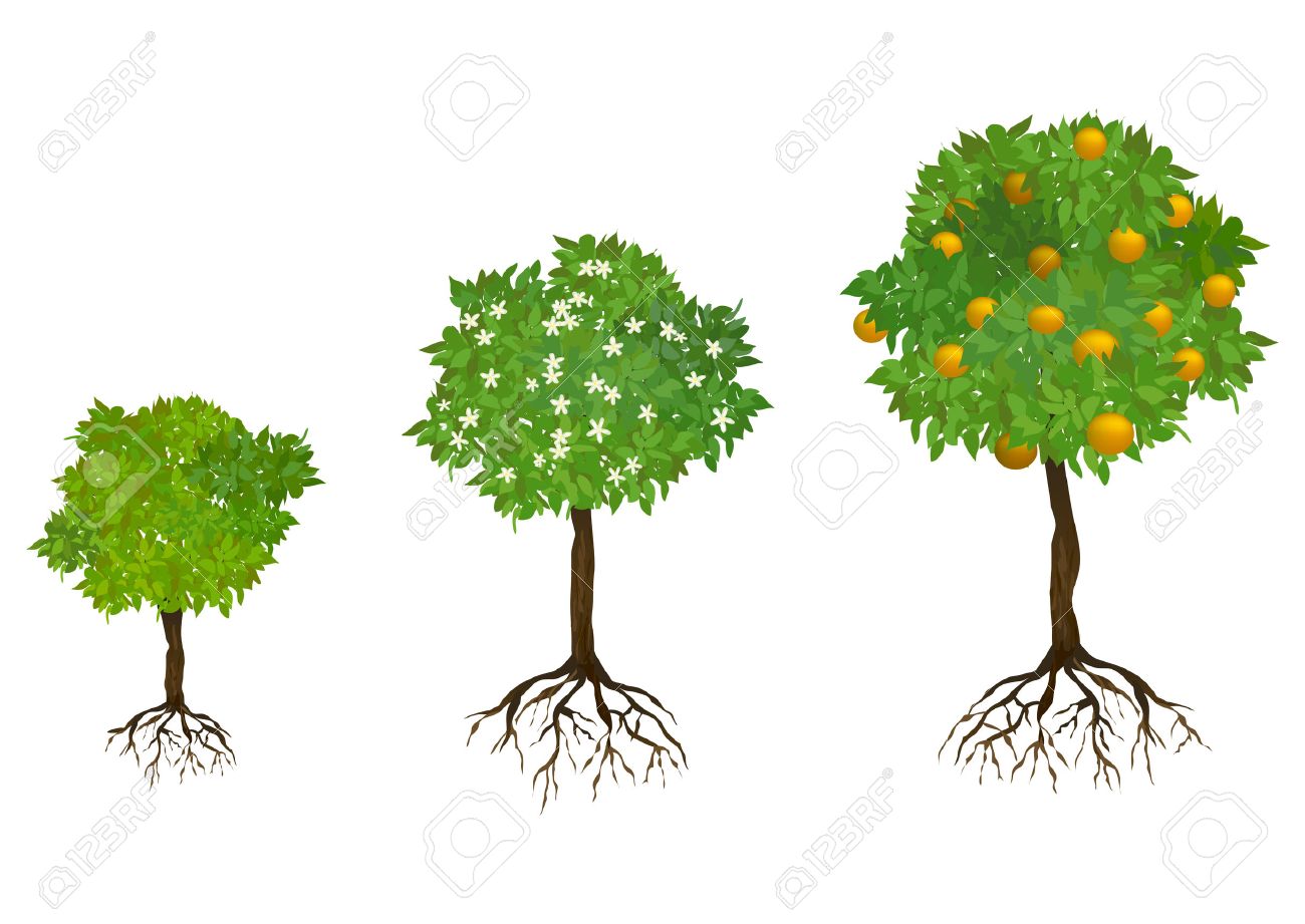 根が付いている木を成長しています ベクトル図 のイラスト素材 ベクタ Image 根が付いている木を成長しています ベクトル図 のイラスト素材 ベクタ Image