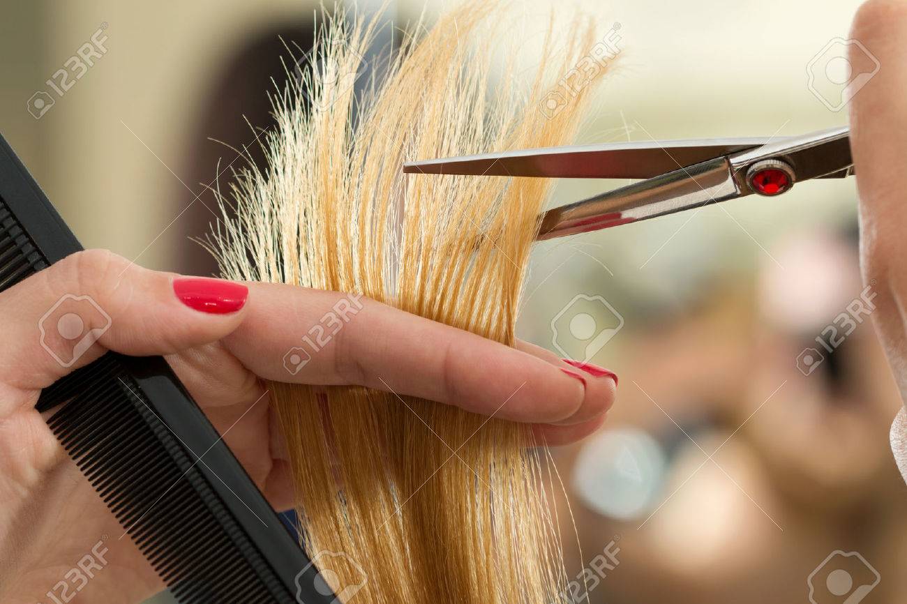 Close up view of female hairdresser hands cutting hair tips. Keratin restoration, healthy hair, latest hair fashion trends, changing haircut style, shorten split ends, instrument store concept - 66205377 Close up view of female hairdresser hands cutting hair tips. Keratin restoration, healthy hair, latest hair fashion trends, changing haircut style, shorten split ends, instrument store concept - 66205377