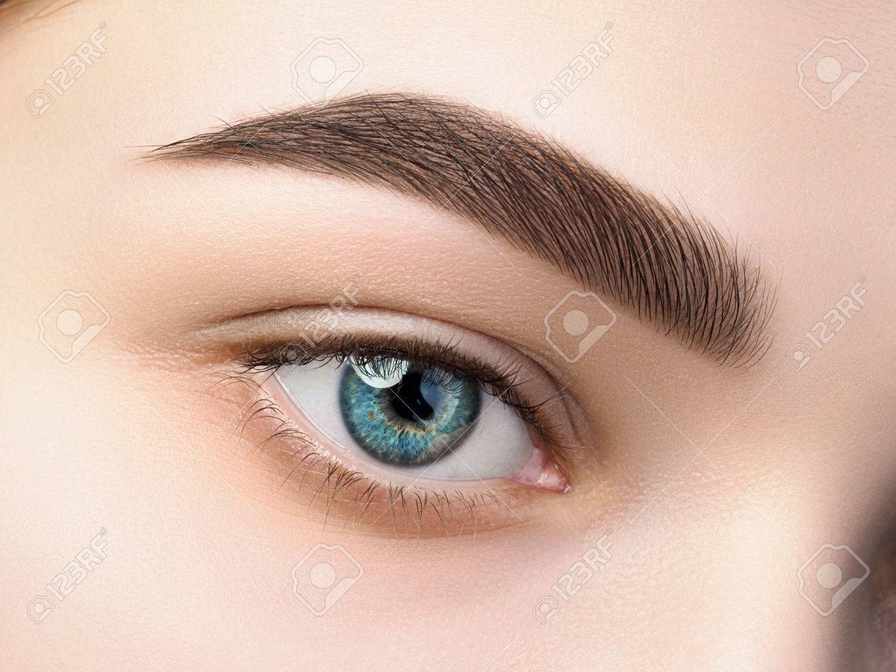 Close up view of beautiful blue female eye. Perfect trendy eyebrow. Good vision, contact lenses, brow bar or fashion eyebrow makeup concept - 78881689 Close up view of beautiful blue female eye. Perfect trendy eyebrow. Good vision, contact lenses, brow bar or fashion eyebrow makeup concept - 78881689