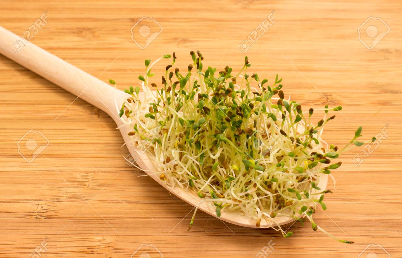 健康的な食事 アルファルファもやしを閉じます の写真素材 画像素材 Image 健康的な食事 アルファルファもやしを閉じます の写真素材 画像素材 Image