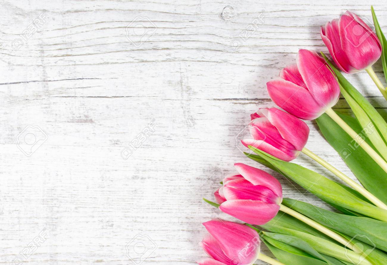 Immagini Stock Tulipani Rosa Sullo Sfondo Di Legno Con Spazio Per L Iscrizione Image 56570556