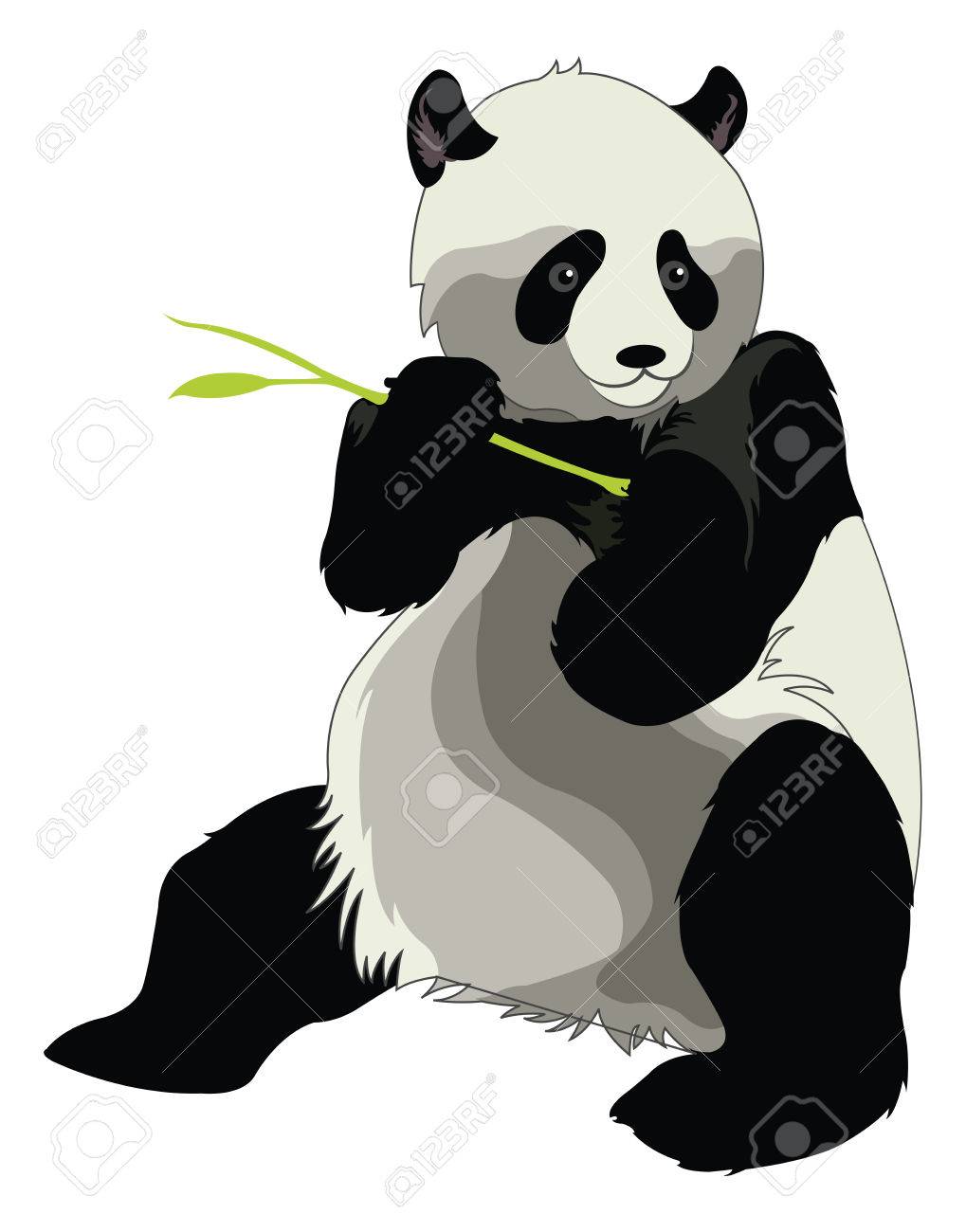 ジャイアント パンダやジャイアント パンダ属の特徴 タケノコ ベクトル図を食べる のイラスト素材 ベクタ Image
