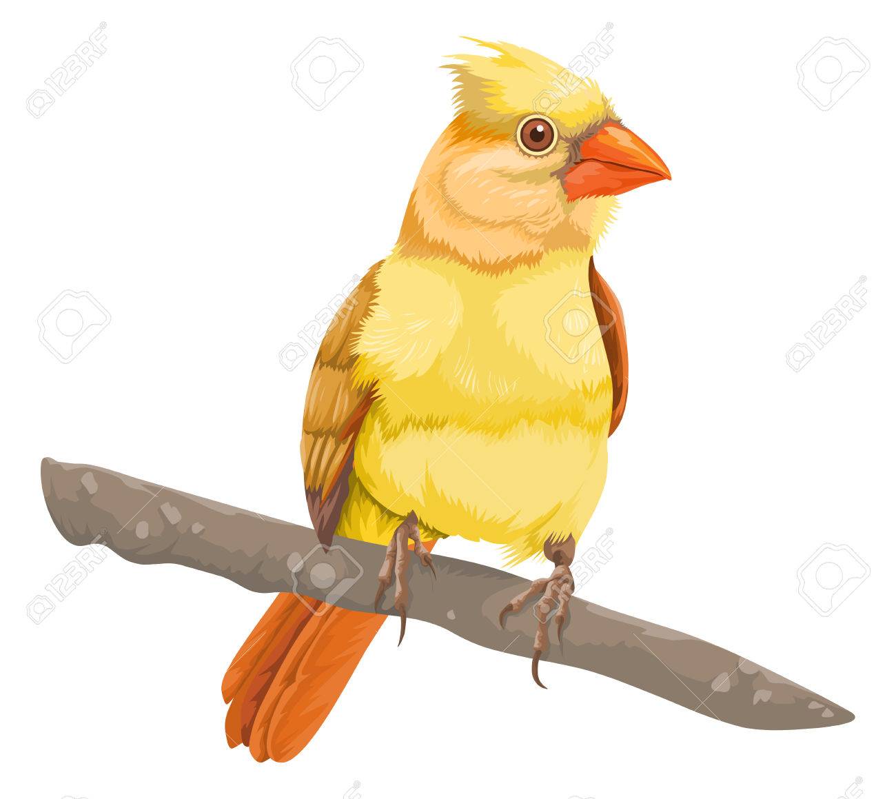 木の枝にとまる鳥のベクトル イラスト のイラスト素材 ベクタ Image 木の枝にとまる鳥のベクトル イラスト のイラスト素材 ベクタ Image