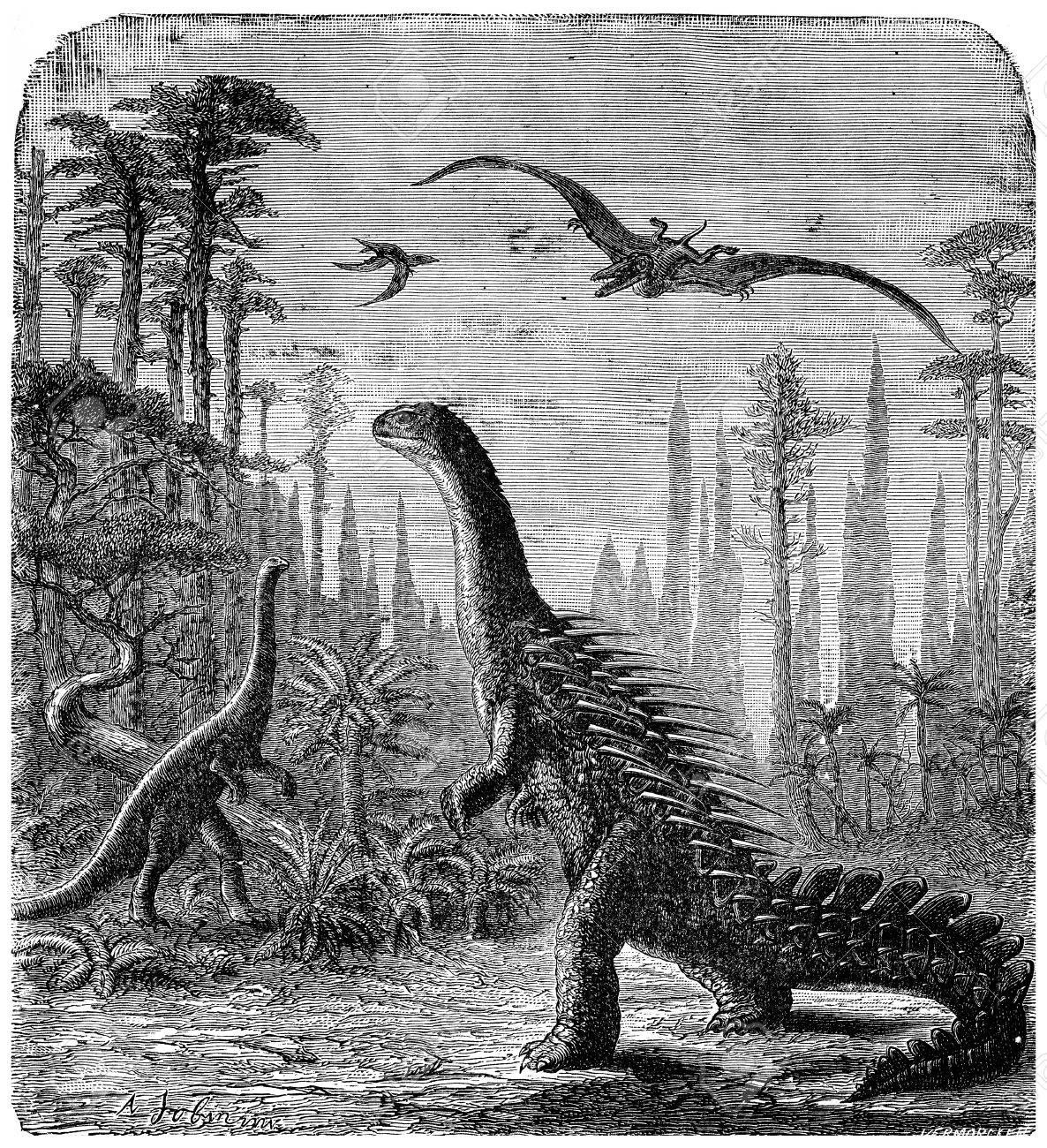Dinosaurs, Stegosaurus and Compsognathus in an Araucaria landscape., vintage engraved illustration. Earth before man – 1886. - 39515528 Dinosaurs, Stegosaurus and Compsognathus in an Araucaria landscape., vintage engraved illustration. Earth before man – 1886. - 39515528