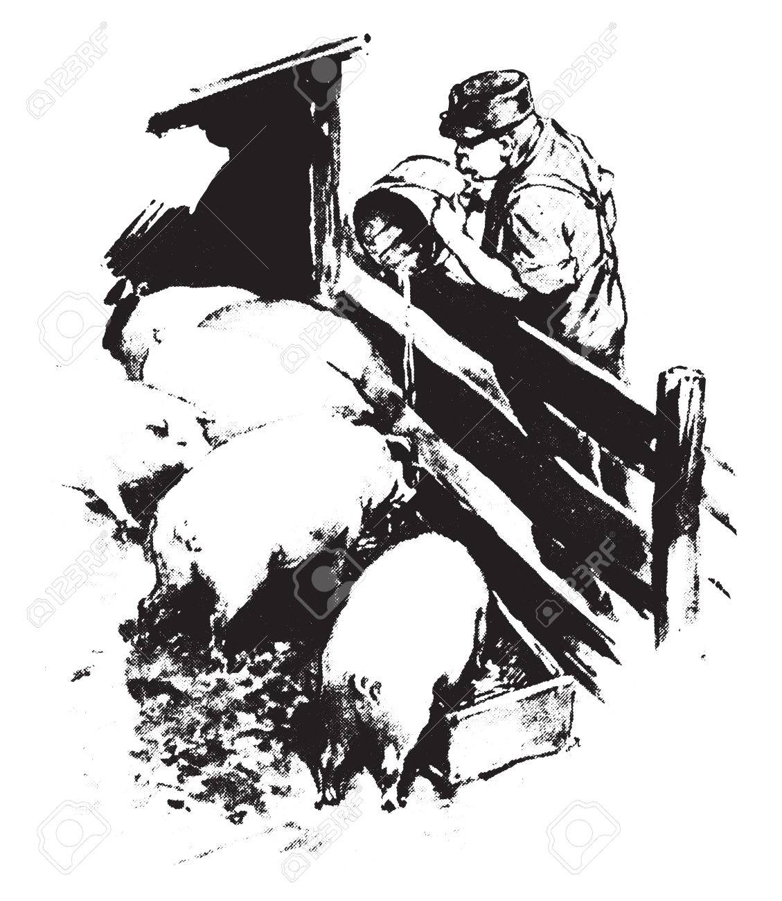 豚がタバコの飲み水し 7 人の死亡 ビンテージの刻まれた図 のイラスト素材 ベクタ Image