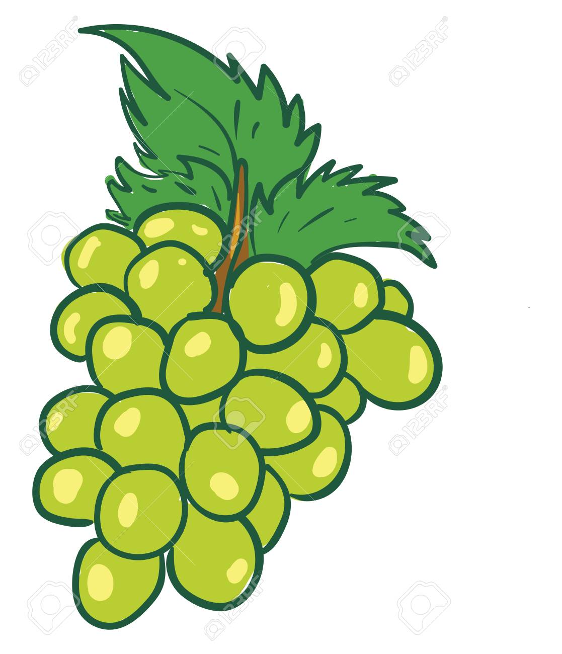 pic Colored Bunch Of Grapes Drawing 123rf