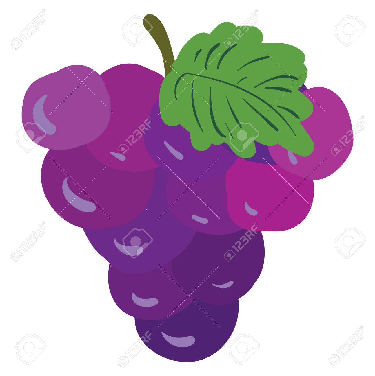 pix Colored Bunch Of Grapes Drawing 123rf