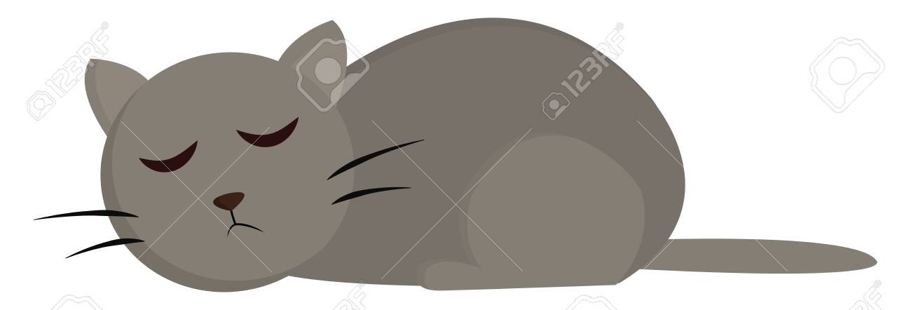 A Cute Fat Cat In Grey Color Which Is Sleeping Vector Color Drawing Royalty Free Cliparts Vectors And Stock Illustration Image 132665214,Cat Base Drawing Cute