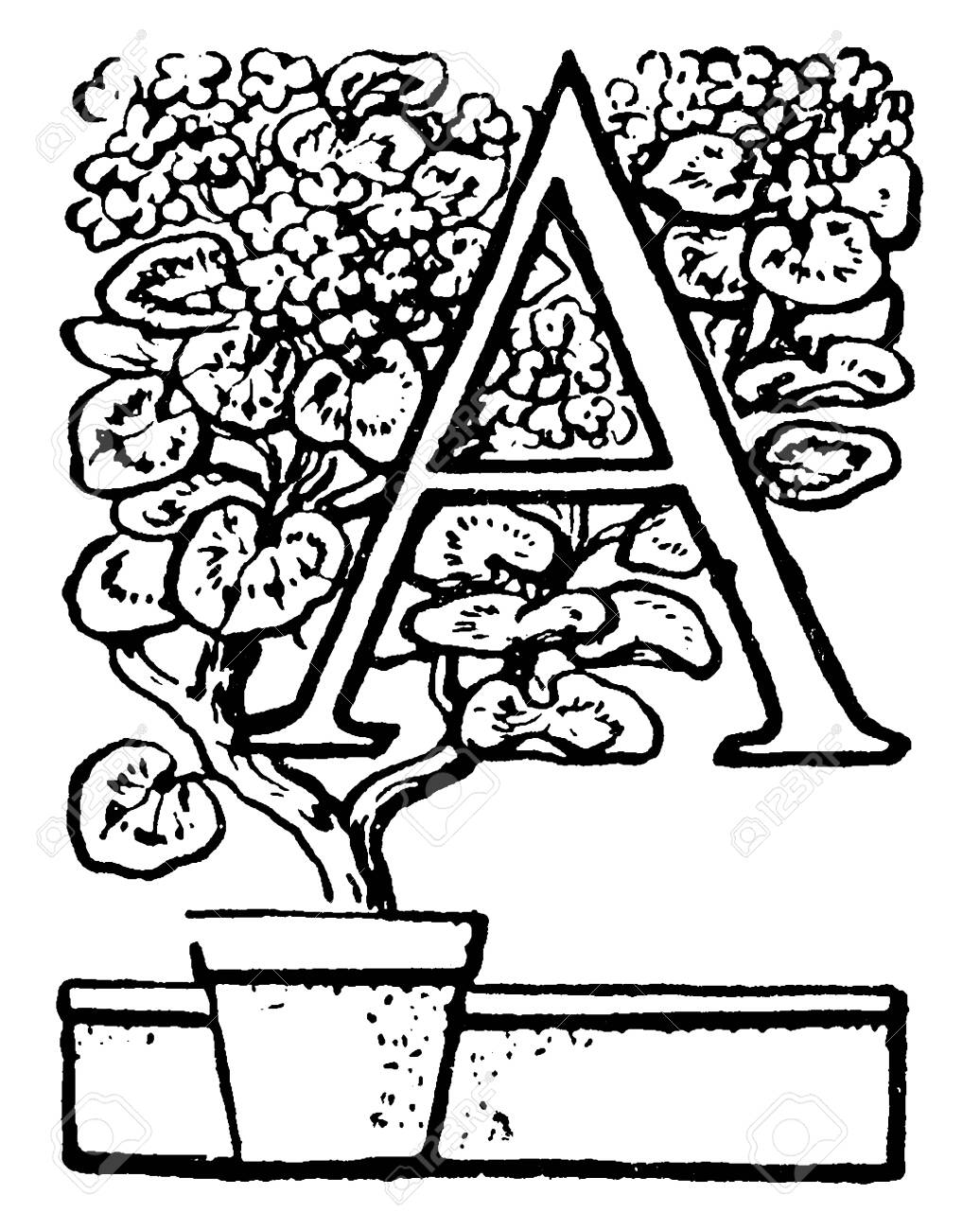 A Capital Letter A With Potted Plant Vintage Line Drawing Or Royalty Free Cliparts Vectors And Stock Illustration Image 132832634,Line Art One Line Drawing Hands