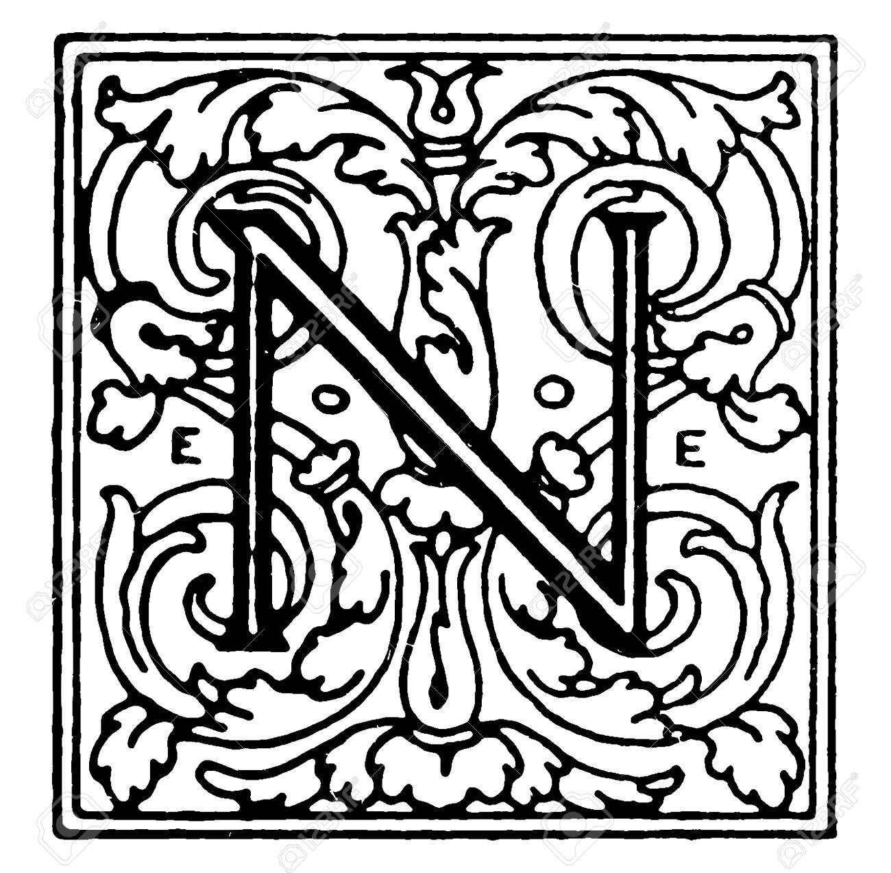 lettera decorativa n