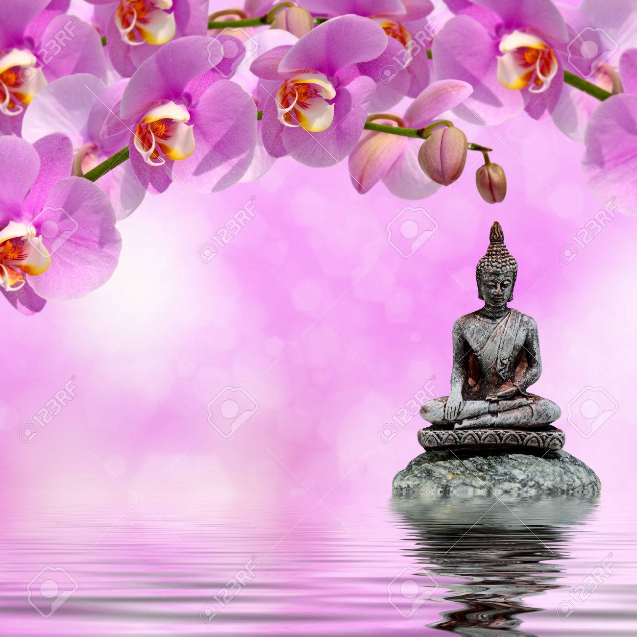 Buddha Zen Stone And Orchid Flowers Reflected In Water Stock Photo Picture And Royalty Free Image Image
