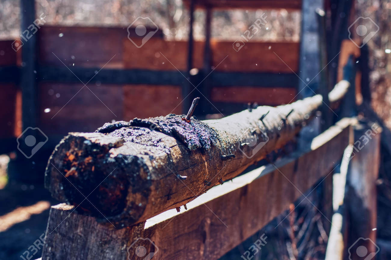 etiam-dictum-ipsum-a-felis