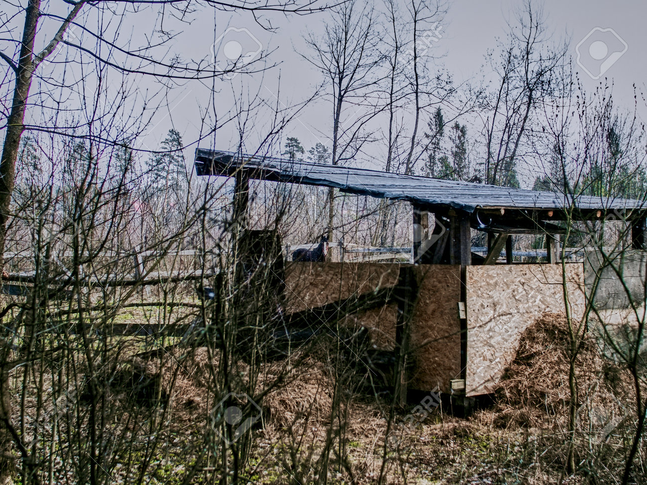 etiam-dictum-ipsum-a-felis