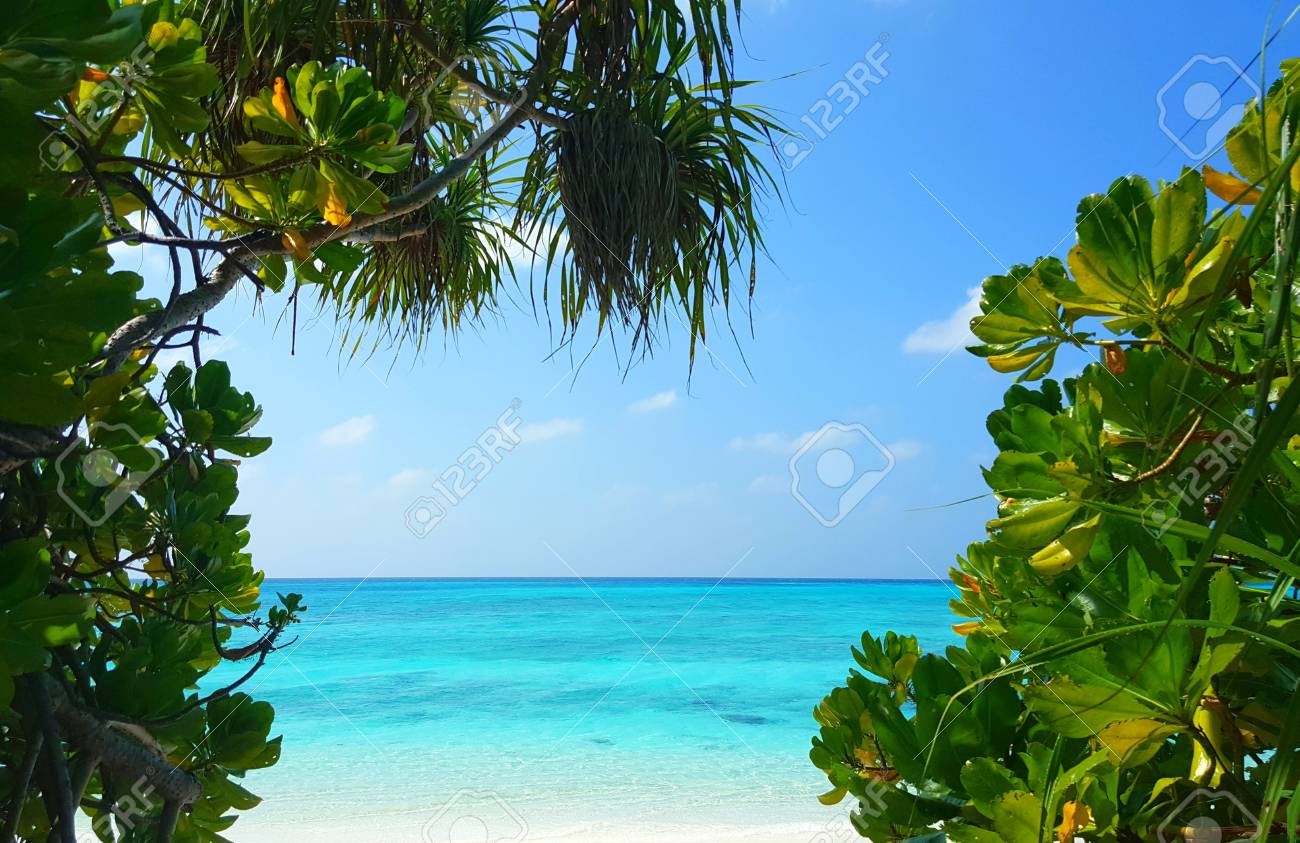 New Sea Palm Trees Tropical Island Paradise Poster Maldives Beach