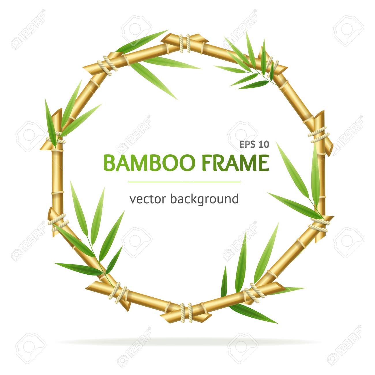 Realistic 3d Detailed Bamboo Shoots Circle Frame. Vector Royalty Free SVG,  Cliparts, Vectors, and Stock Illustration. Image 95804694., image size:1300x1300