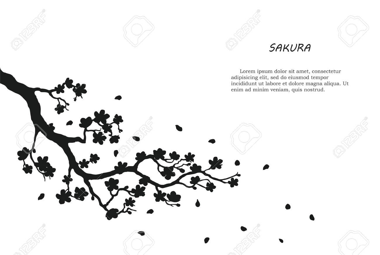 Silhueta Preta De Sakura Em Um Fundo Branco Ilustracao Vetorial Ilustraciones Vectoriales Clip Art Vectorizado Libre De Derechos Image