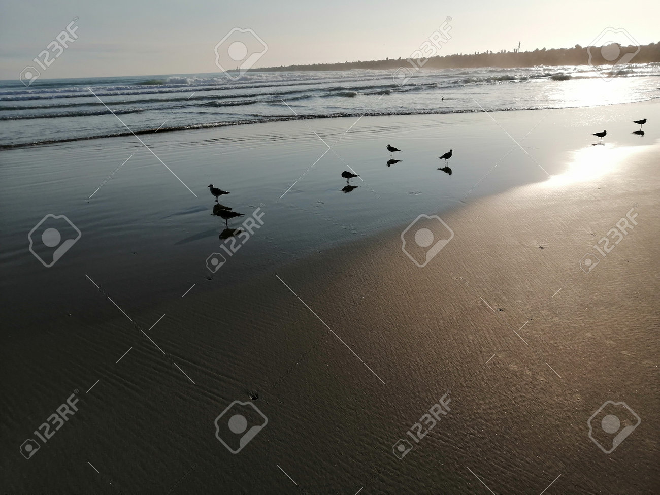 etiam-dictum-ipsum-a-felis