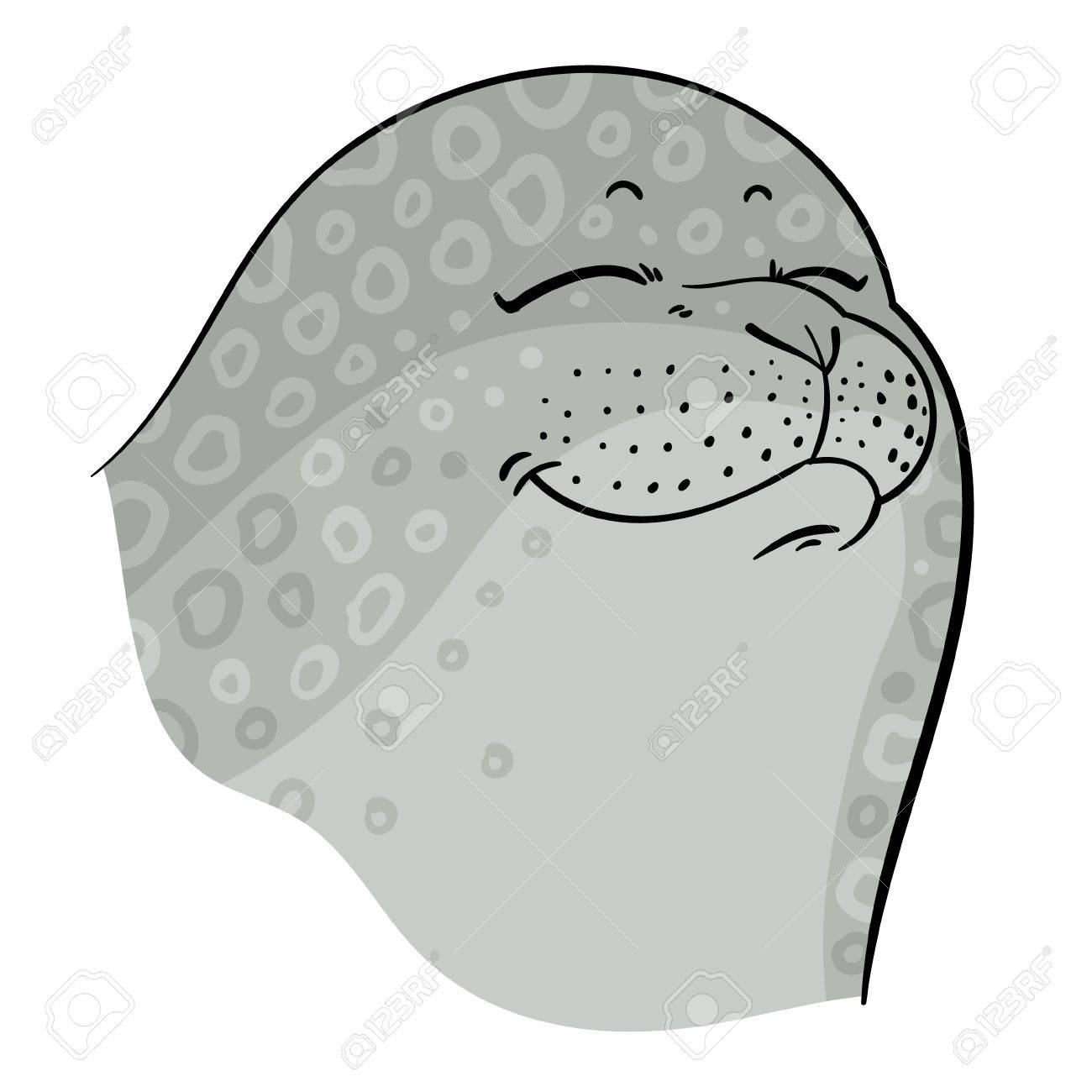 Vecteur Main Dessin Tete D Etancheite Phoque Ou De La Mer De Veau Illustration Vectorielle Clip Art Libres De Droits Vecteurs Et Illustration Image 51169010