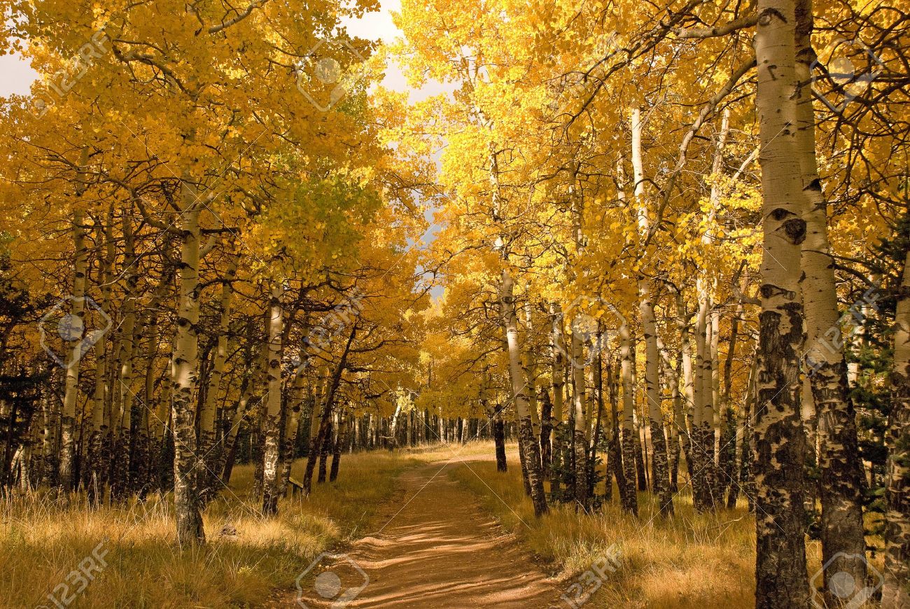 mueller state park hiking