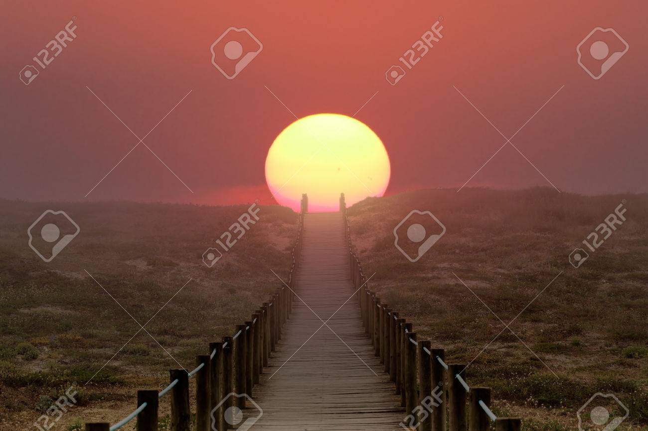Wooden walkway over a dune near the sea. Path to sun, to summer and vacations. Illustration - 42845193 Wooden walkway over a dune near the sea. Path to sun, to summer and vacations. Illustration - 42845193