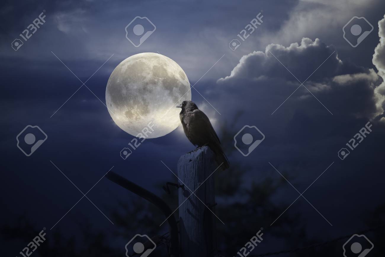 どんよりした満月の夜の怖いカラス の写真素材 画像素材 Image